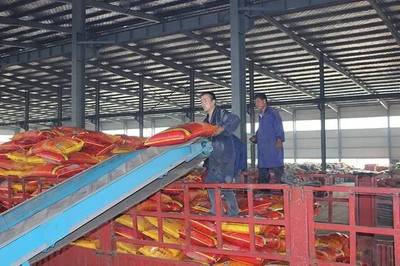 成長之星 | 源科生物 治理農業面源污染，從土壤修復開始——生物有機肥料研發之路